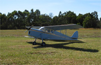 DH87B DeHavilland Hornet Moth 4